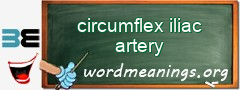 WordMeaning blackboard for circumflex iliac artery